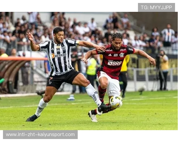 弗拉门戈控场压制突尼斯希望,弗拉门戈球迷 弗拉门戈控场压制突尼斯希望,弗拉门戈球迷